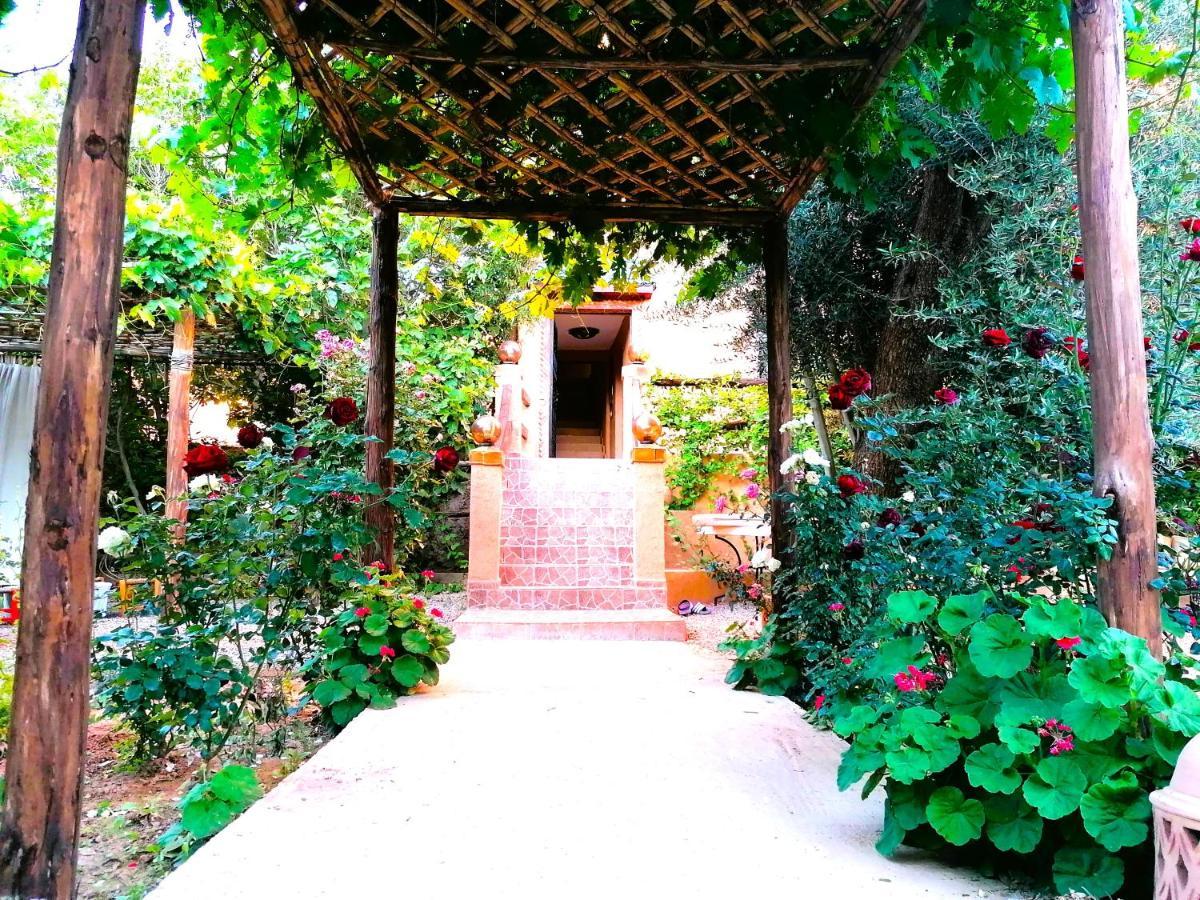 Riad Tazawa Ibrahene Extérieur photo